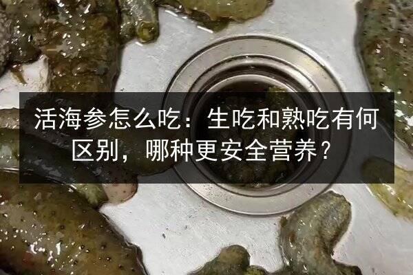 活海参怎么吃:生吃和熟吃有何区别,哪种更安全营养?