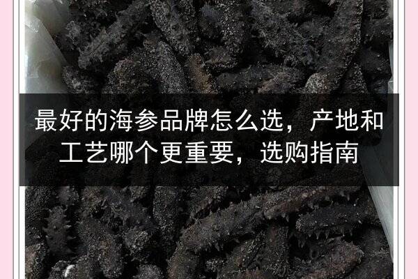 最好的海参品牌怎么选，产地和工艺哪个更重要，选购指南
