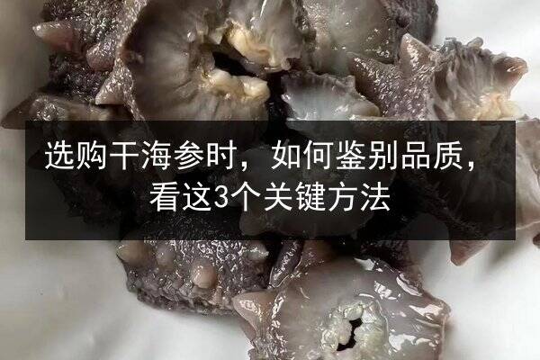 选购干海参时，如何鉴别品质，看这3个关键方法