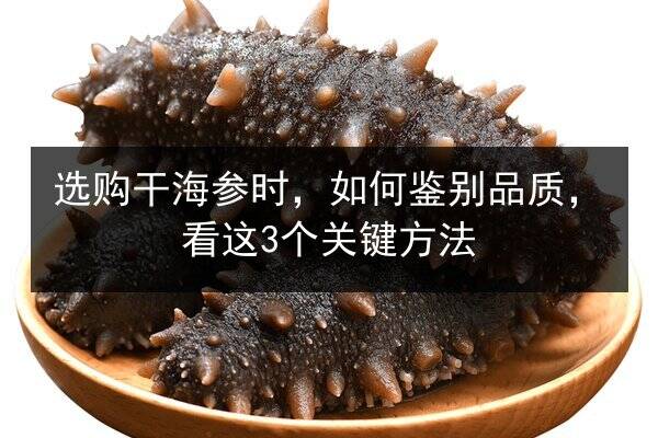 选购干海参时，如何鉴别品质，看这3个关键方法