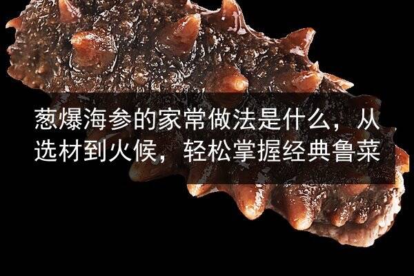 葱爆海参的家常做法是什么，从选材到火候，轻松掌握经典鲁菜