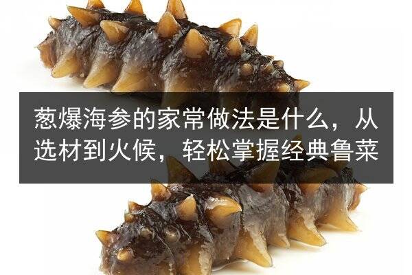 葱爆海参的家常做法是什么，从选材到火候，轻松掌握经典鲁菜