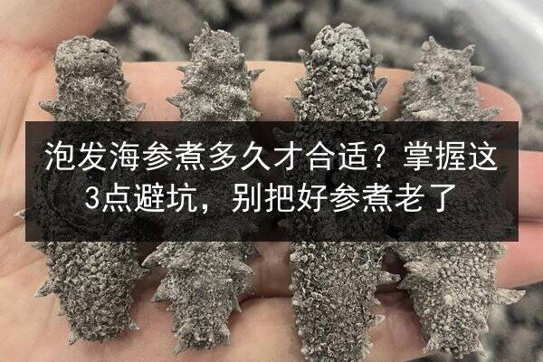 泡发海参煮多久才合适?掌握这3点避坑,别把好参煮老了