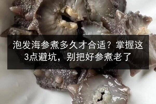 泡发海参煮多久才合适?掌握这3点避坑,别把好参煮老了