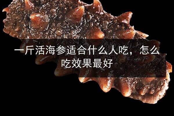 一斤活海参适合什么人吃，怎么吃效果最好