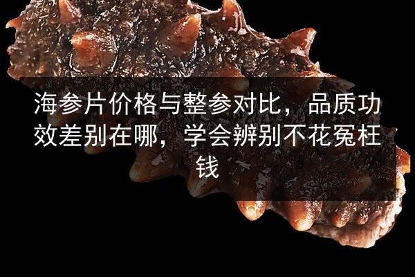 海参片价格与整参对比，品质功效差别在哪，学会辨别不花冤枉钱