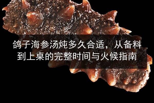 鸽子海参汤炖多久合适,从备料到上桌的完整时间与火候指南