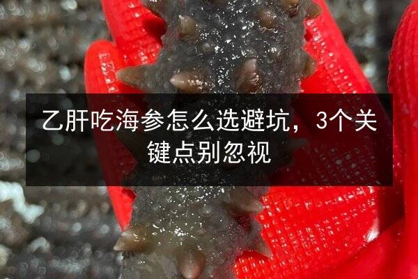 乙肝吃海参怎么选避坑,3个关键点别忽视
