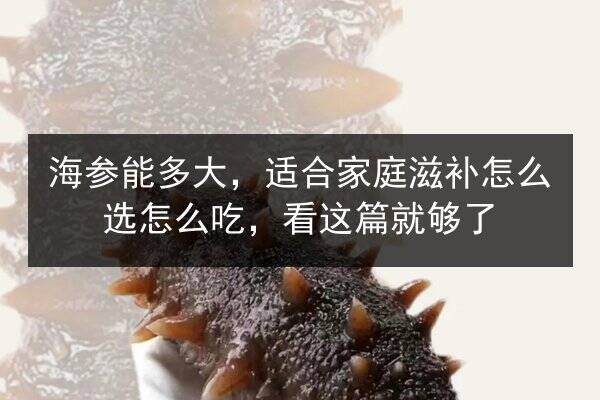 海参能多大,适合家庭滋补怎么选怎么吃,看这篇就够了