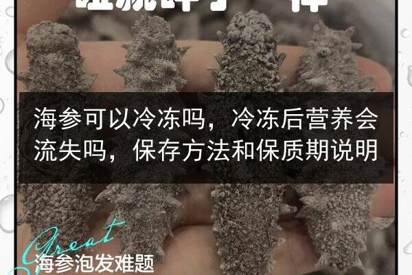 海参可以冷冻吗,冷冻后营养会流失吗,保存方法和保质期说明
