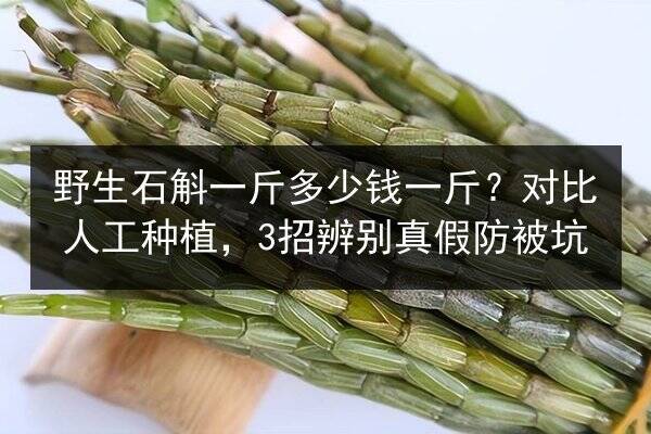 海参可以冷冻吗,冷冻后营养会流失吗,保存方法和保质期说明