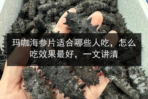 玛咖海参片适合哪些人吃,怎么吃效果最好,一文讲清