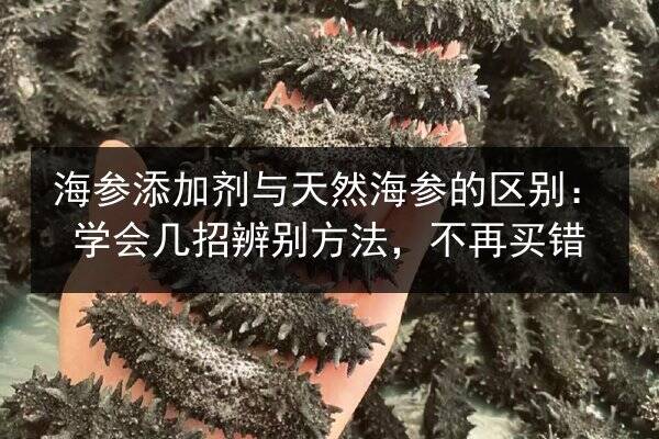 海参添加剂与天然海参的区别:学会几招辨别方法,不再买错