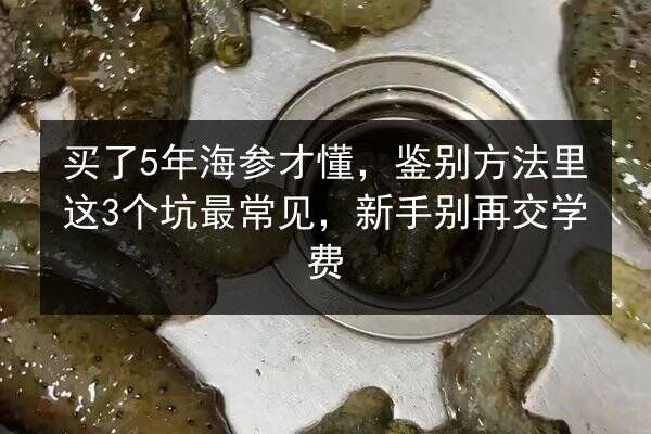 买了5年海参才懂,鉴别方法里这3个坑最常见,新手别再交学费