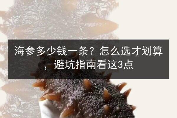 海参多少钱一条?怎么选才划算,避坑指南看这3点