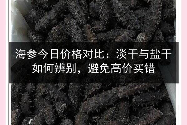 海参今日价格对比:淡干与盐干如何辨别,避免高价买错