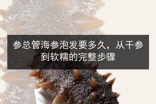 参总管海参泡发要多久,从干参到软糯的完整步骤