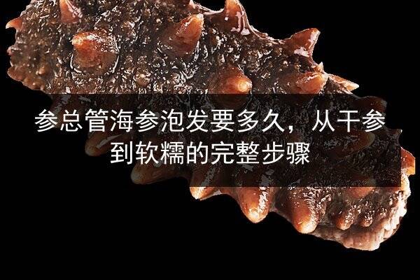 参总管海参泡发要多久,从干参到软糯的完整步骤