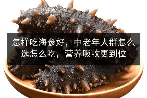 怎样吃海参好,中老年人群怎么选怎么吃,营养吸收更到位