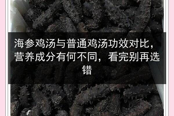 海参鸡汤与普通鸡汤功效对比,营养成分有何不同,看完别再选错
