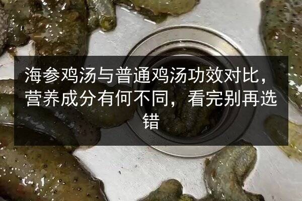 海参鸡汤与普通鸡汤功效对比,营养成分有何不同,看完别再选错