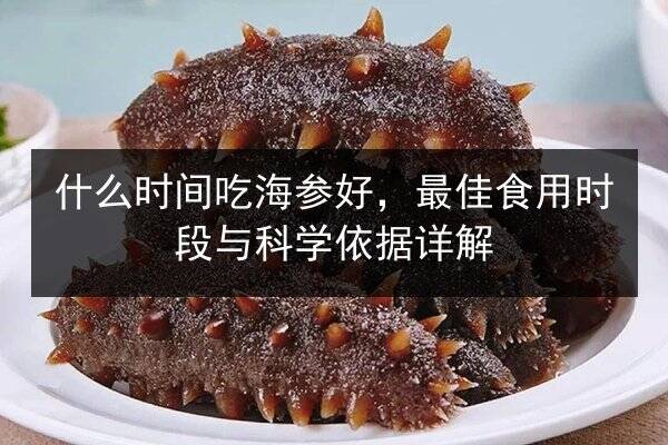 什么时间吃海参好，最佳食用时段与科学依据详解