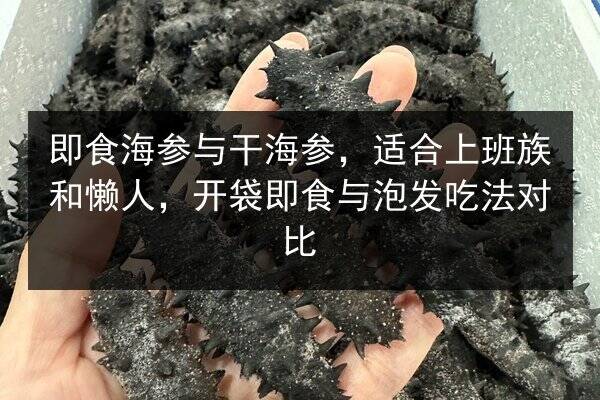 即食海参与干海参,适合上班族和懒人,开袋即食与泡发吃法对比