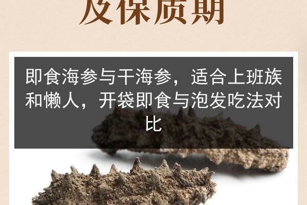 即食海参与干海参,适合上班族和懒人,开袋即食与泡发吃法对比