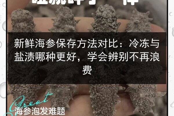 新鲜海参保存方法对比：冷冻与盐渍哪种更好，学会辨别不再浪费