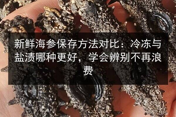 新鲜海参保存方法对比：冷冻与盐渍哪种更好，学会辨别不再浪费