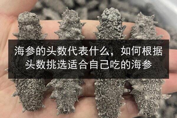 海参的头数代表什么，如何根据头数挑选适合自己吃的海参