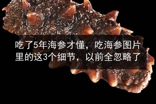 吃了5年海参才懂,吃海参图片里的这3个细节,以前全忽略了