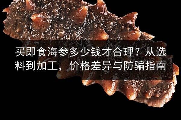 买即食海参多少钱才合理？从选料到加工，价格差异与防骗指南
