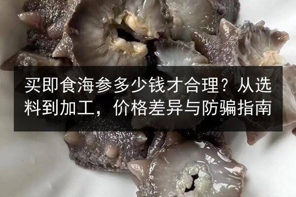 买即食海参多少钱才合理？从选料到加工，价格差异与防骗指南