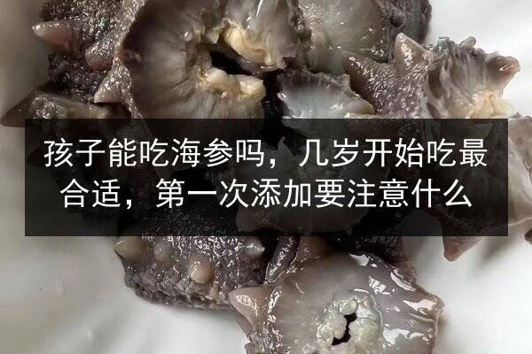 孩子能吃海参吗,几岁开始吃最合适,第一次添加要注意什么
