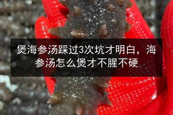 煲海参汤踩过3次坑才明白，海参汤怎么煲才不腥不硬