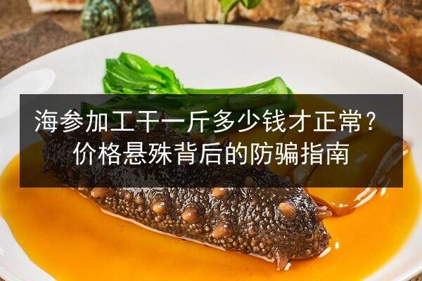 海参加工干一斤多少钱才正常？价格悬殊背后的防骗指南
