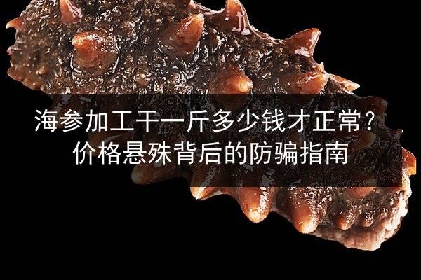海参加工干一斤多少钱才正常？价格悬殊背后的防骗指南