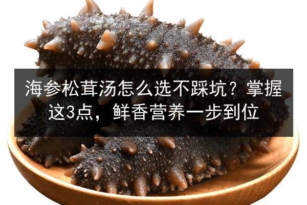 海参松茸汤怎么选不踩坑？掌握这3点，鲜香营养一步到位