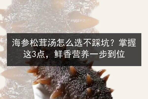 海参松茸汤怎么选不踩坑？掌握这3点，鲜香营养一步到位