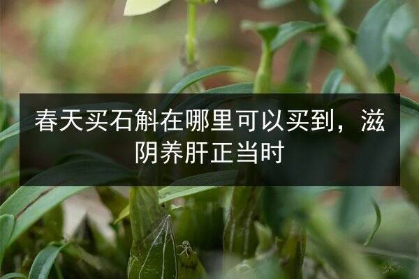 冷冻海参怎么吃，厨房新手也能轻松上手的家常做法