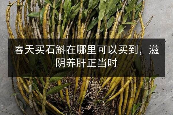 冷冻海参怎么吃，厨房新手也能轻松上手的家常做法