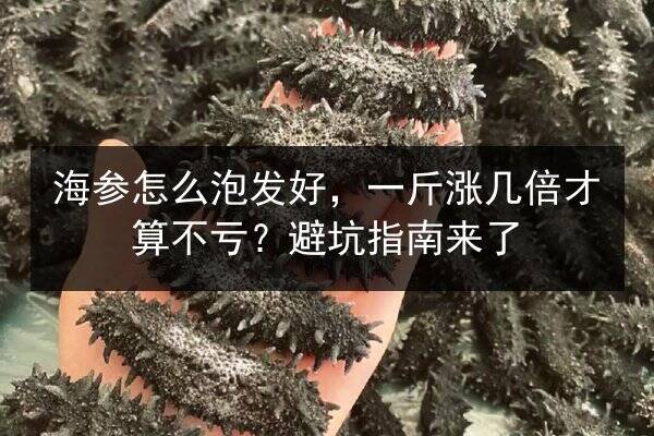 海参怎么泡发好，一斤涨几倍才算不亏？避坑指南来了