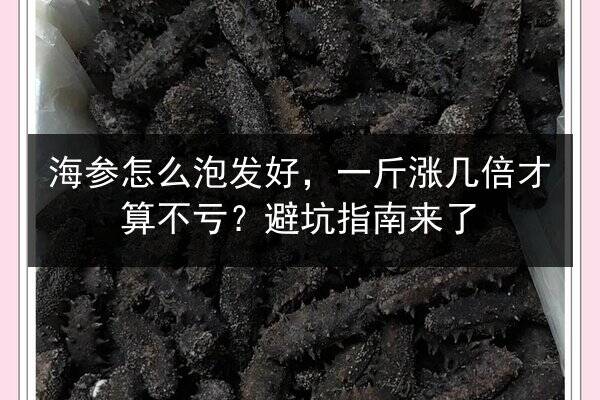 海参怎么泡发好，一斤涨几倍才算不亏？避坑指南来了