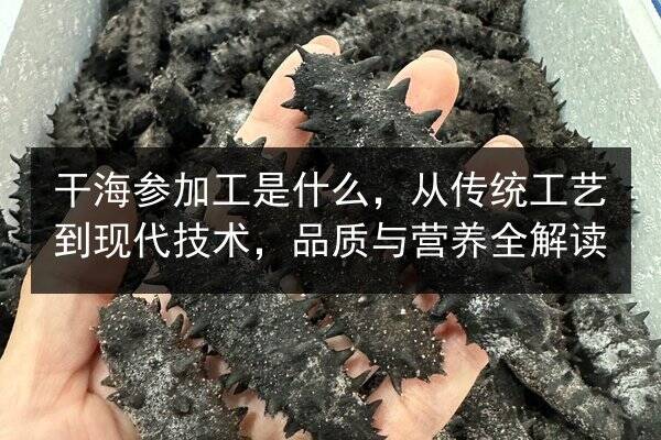 干海参加工是什么，从传统工艺到现代技术，品质与营养全解读