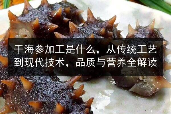 干海参加工是什么，从传统工艺到现代技术，品质与营养全解读