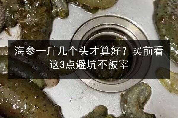 海参一斤几个头才算好?买前看这3点避坑不被宰