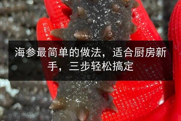 海参最简单的做法，适合厨房新手，三步轻松搞定