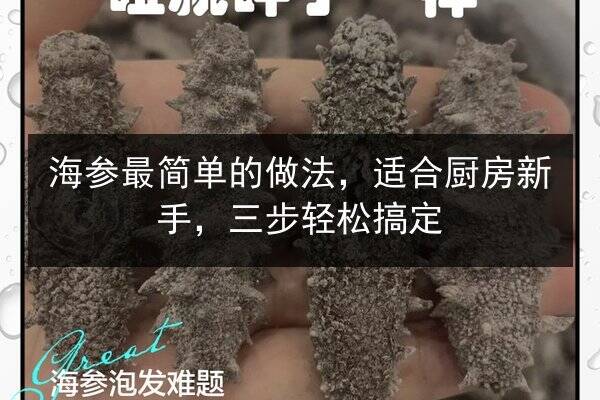 海参最简单的做法，适合厨房新手，三步轻松搞定
