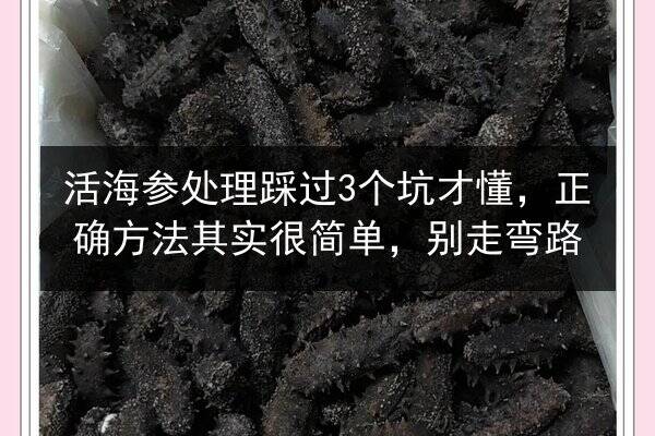 活海参处理踩过3个坑才懂，正确方法其实很简单，别走弯路